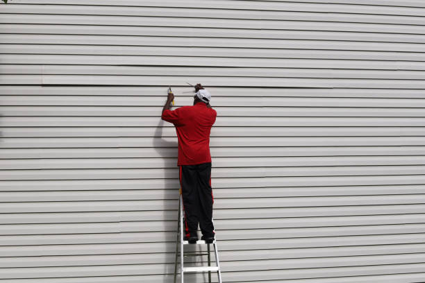 Professional Siding in Diablo Grande, CA